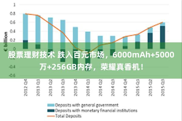 股票理财技术 跌入百元市场，6000mAh+5000万+256GB内存，荣耀真香机！