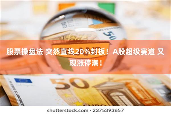 股票操盘法 突然直线20%封板！A股超级赛道 又现涨停潮！