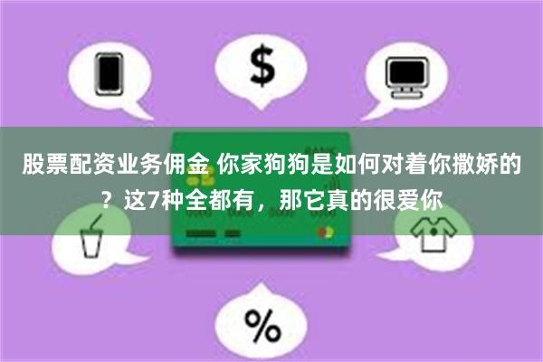 股票配资业务佣金 你家狗狗是如何对着你撒娇的？这7种全都有，那它真的很爱你