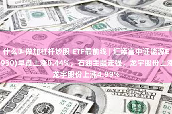 什么叫做加杠杆炒股 ETF最前线 | 汇添富中证能源ETF(159930)早盘上涨0.44%，石油主题走强，龙宇股份上涨4.99%