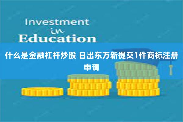 什么是金融杠杆炒股 日出东方新提交1件商标注册申请