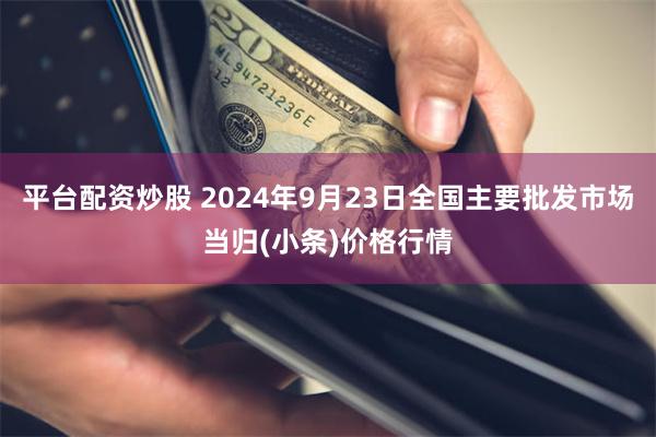 平台配资炒股 2024年9月23日全国主要批发市场当归(小条)价格行情