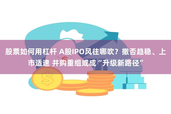 股票如何用杠杆 A股IPO风往哪吹？撤否趋稳、上市适速 并购重组或成“升级新路径”