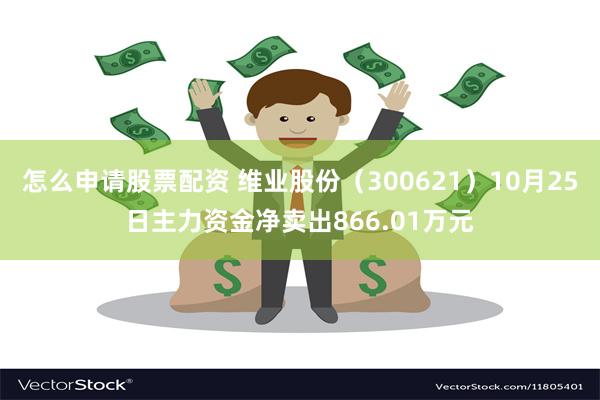 怎么申请股票配资 维业股份（300621）10月25日主力资金净卖出866.01万元