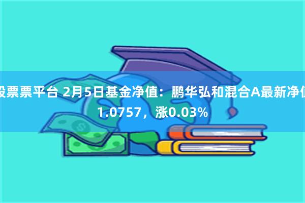 股票票平台 2月5日基金净值：鹏华弘和混合A最新净值1.0757，涨0.03%