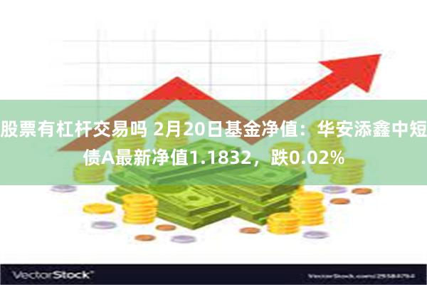 股票有杠杆交易吗 2月20日基金净值：华安添鑫中短债A最新净值1.1832，跌0.02%